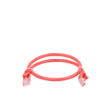 Cable de parcheo UTP Cat6 - 0.5 m - rojo