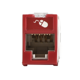 Jack UltraMAX Cat6, UTP, Montaje híbrido en Placa de Pared (Plano y Angulado), Color Rojo, Punch Down