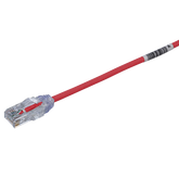 Cable de Parcheo TX6, UTP Cat6, Diámetro Reducido (28AWG), Color Rojo, 8in (20.2cm)