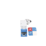 Jack Z-MAX UTP Categoría 6, Montaje híbrido en Placa de Pared (Plano y Angulado), Color Azul