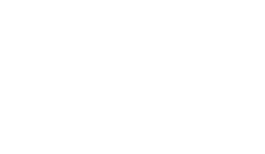 Fibralink México