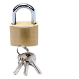 Candado de Seguridad / Cuerpo Latón 40 x 40 mm / Perno Doble Sujeción / Argolla 6.2 mm / 3 Llaves / 560 gr