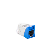 Jack UltraMAX Cat6, UTP, Montaje híbrido en Placa de Pared (Plano y Angulado), Color Azul, Punch Down