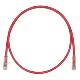 Cable de Parcheo TX6, UTP Cat6, 24 AWG, CM, Color Rojo, 6.1 Metros (20 Pies)